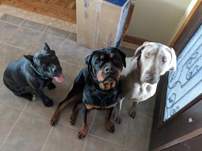 Ray County Animal Hospital Picture 10