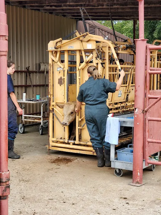 Cooper County Animal Hospital Picture 8