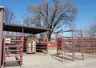 Cooper County Animal Hospital Picture 10