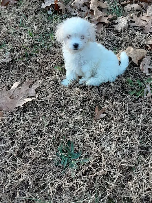 Allen Larry W DVM Picture 5