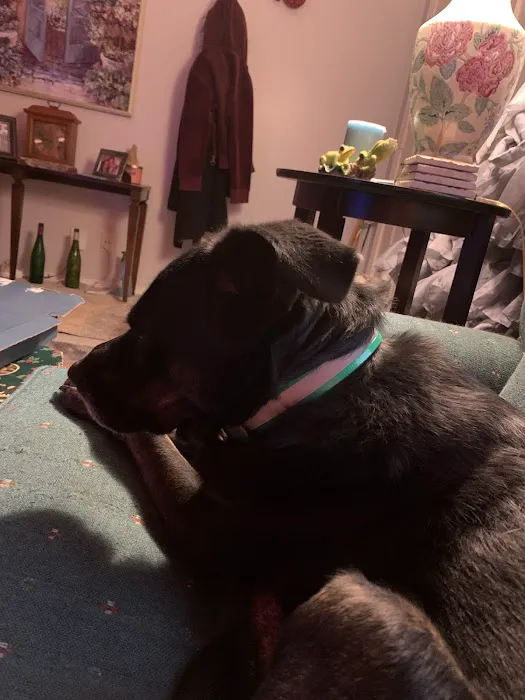 Allen Larry W DVM Picture 4