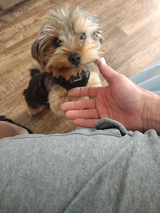 Allen Larry W DVM Picture 8