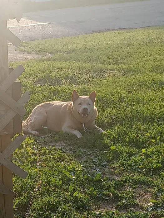 St Clair Pet Hospital Picture 4