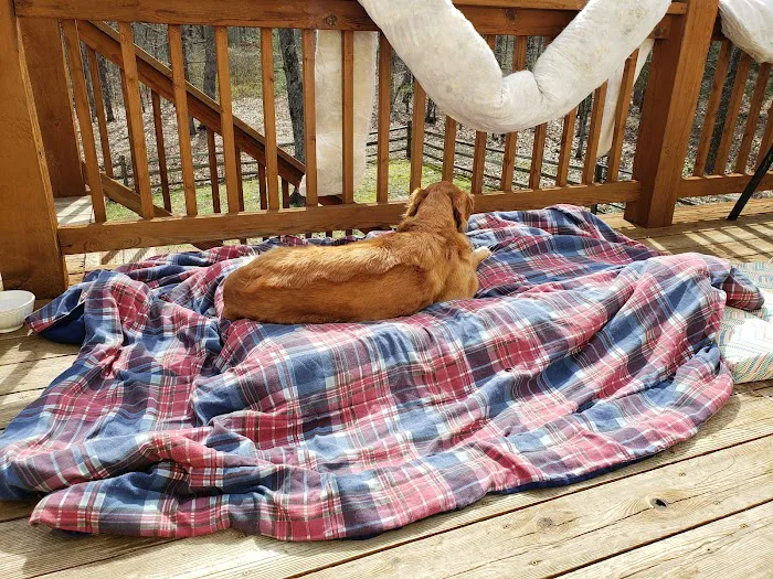 St Clair Pet Hospital Picture 8