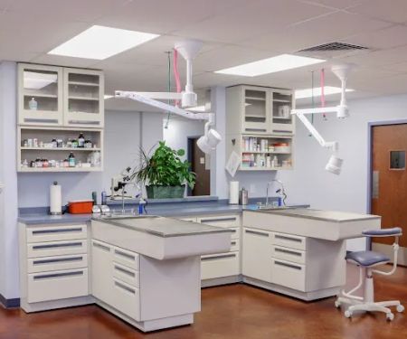 Homestead Veterinary Hospital