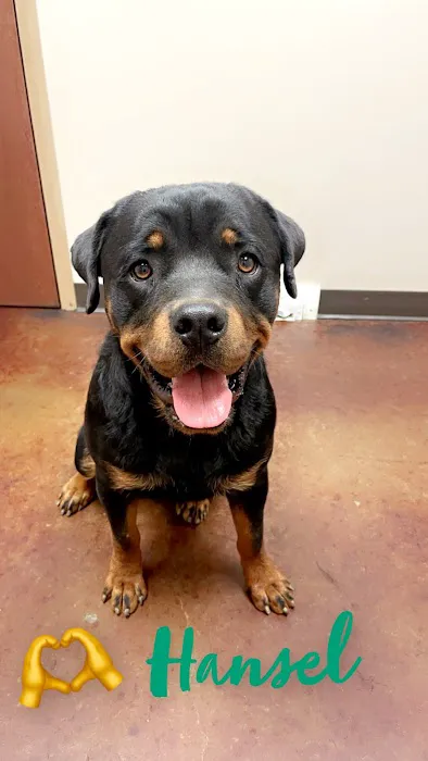 Homestead Veterinary Hospital Picture 2