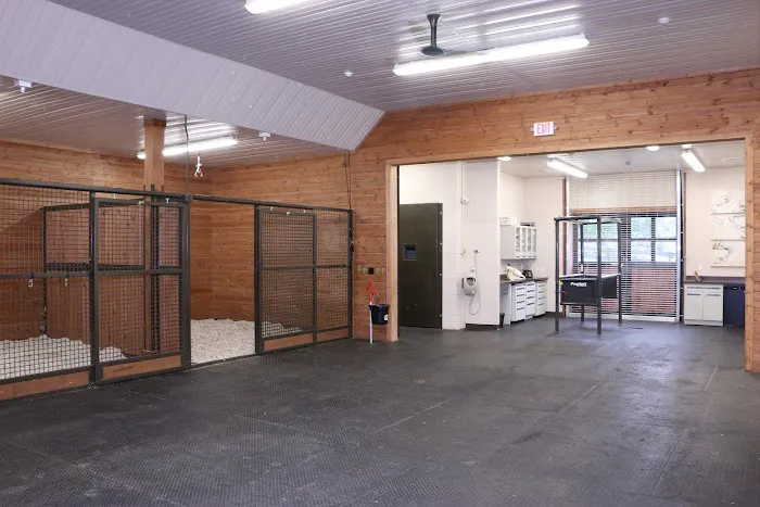 Homestead Veterinary Hospital Picture 7