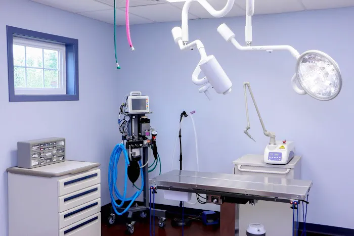 Homestead Veterinary Hospital Picture 8