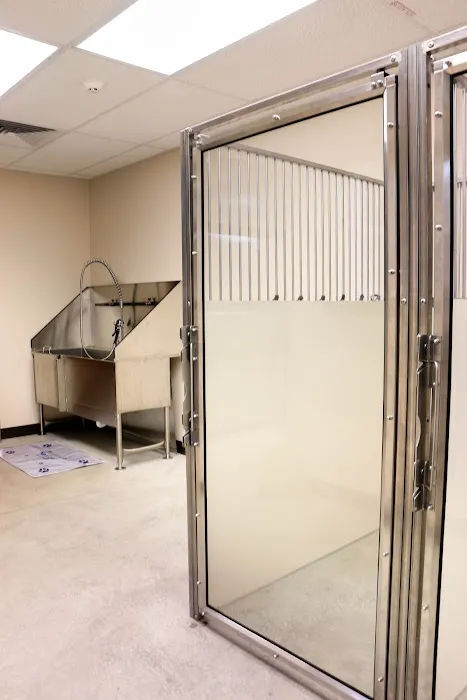 Homestead Veterinary Hospital Picture 9