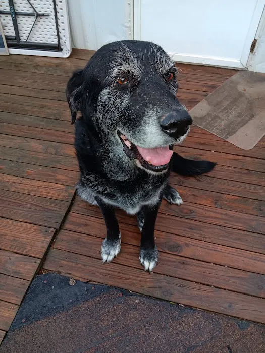 Union Veterinary Associates Picture 1