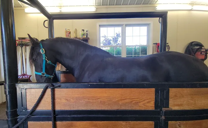 Union Veterinary Associates Picture 2