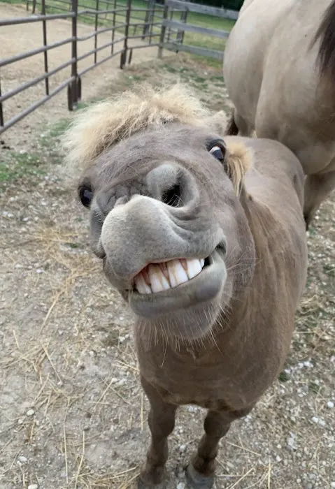 Union Veterinary Associates Picture 4