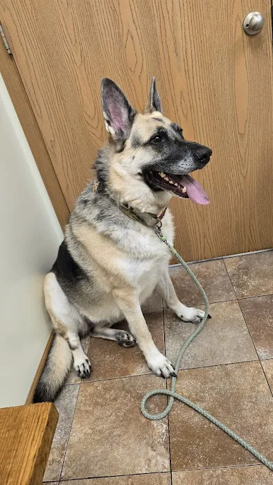 Union Veterinary Associates Picture 6