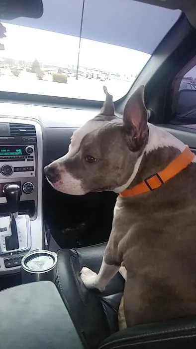 Union Veterinary Associates Picture 9