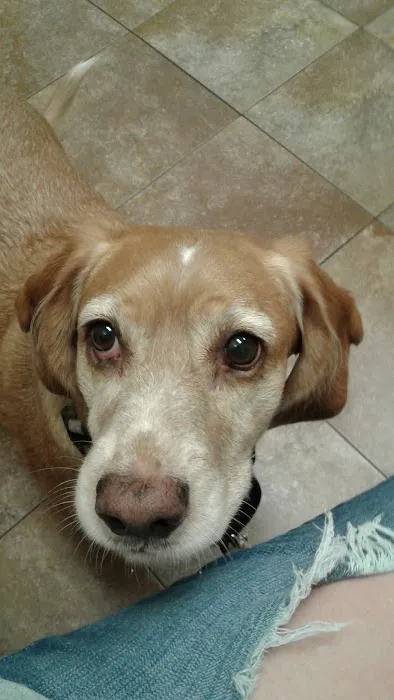 Union Veterinary Associates Picture 10