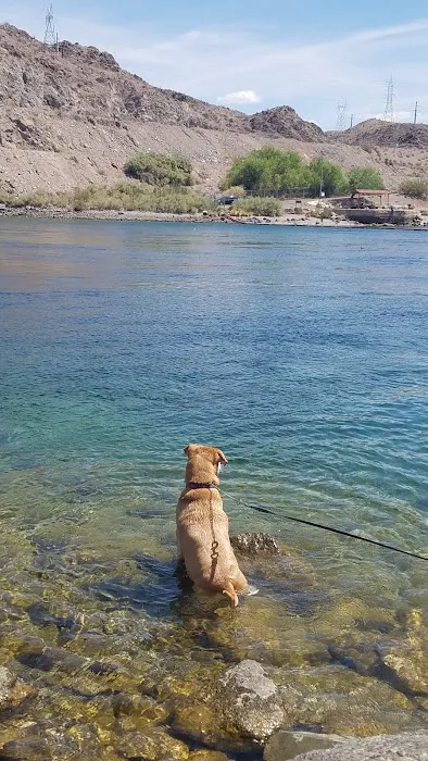 Union Veterinary Associates Picture 8