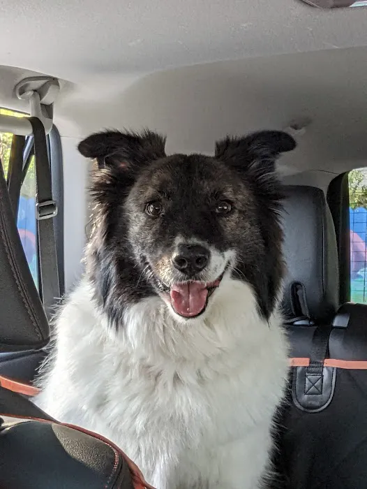 East Central Animal Hospital Picture 1