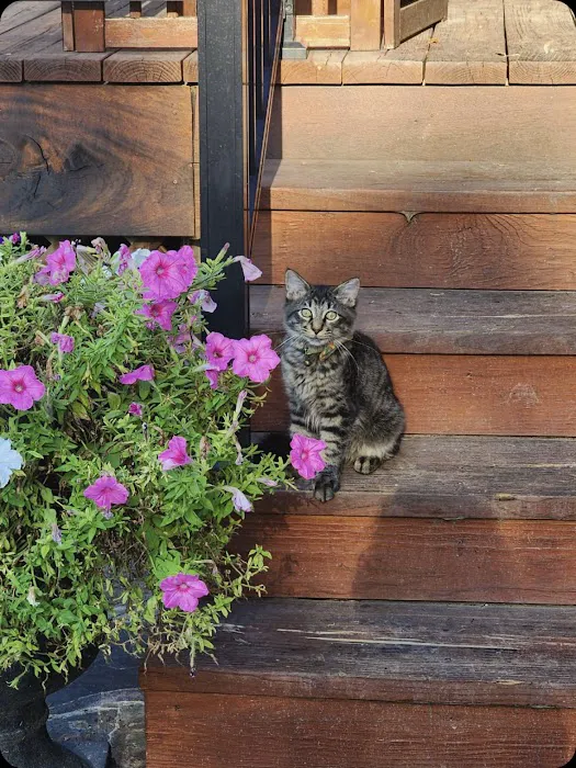 East Central Animal Hospital Picture 2