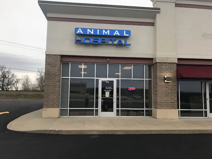 East Central Animal Hospital Picture 3