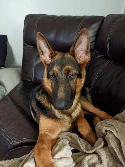 Forum Animal Hospital Picture 3