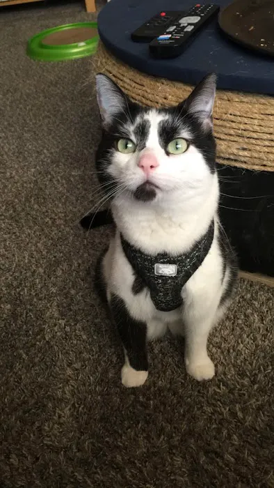 Forum Animal Hospital Picture 2