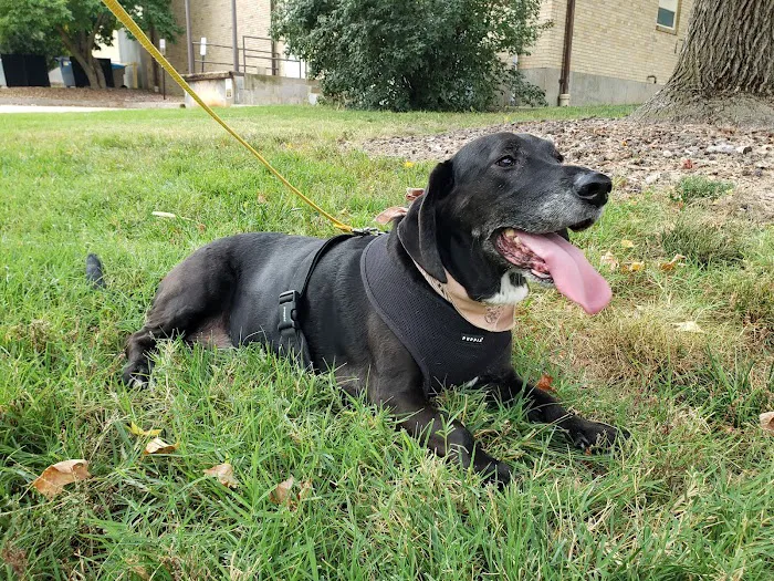 Forum Animal Hospital Picture 7