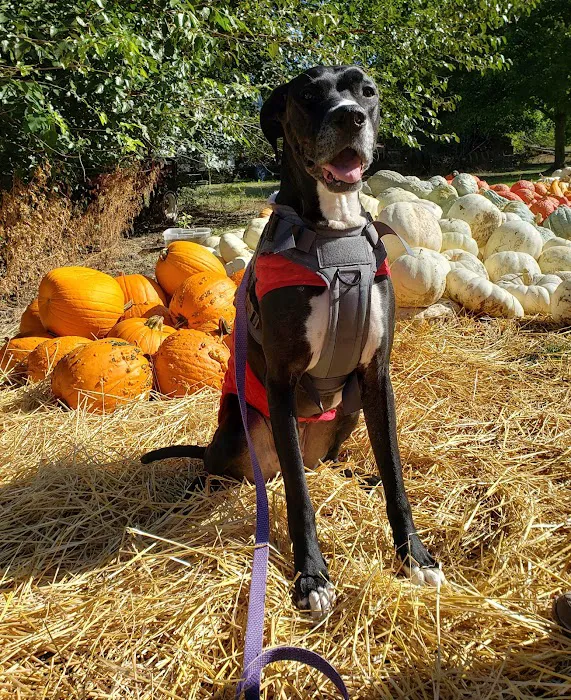 Forum Animal Hospital Picture 10