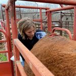 Bishop Reproductive Services