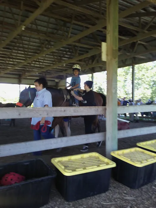 Equine Medical Services Picture 1