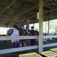 Equine Medical Services ico