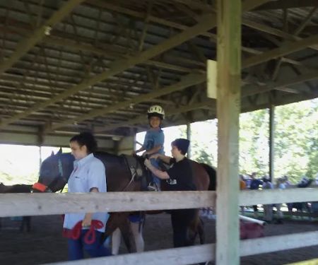 Equine Medical Services