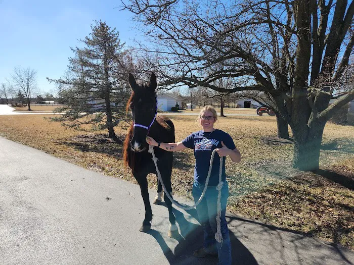 Equine Medical Services Picture 4