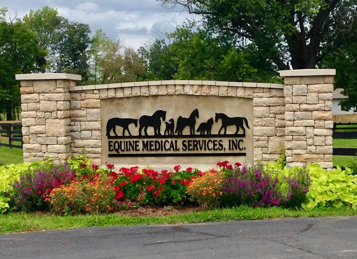 Equine Medical Services Picture 5