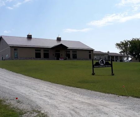 Summit Veterinary Services