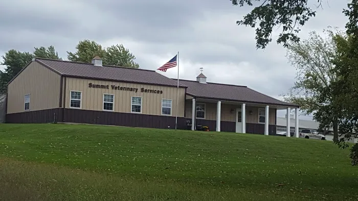 Summit Veterinary Services Picture 7