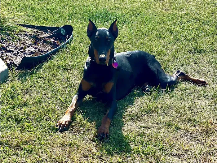 Heartland Animal Hospital Picture 3