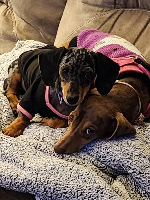 Heartland Animal Hospital Picture 5