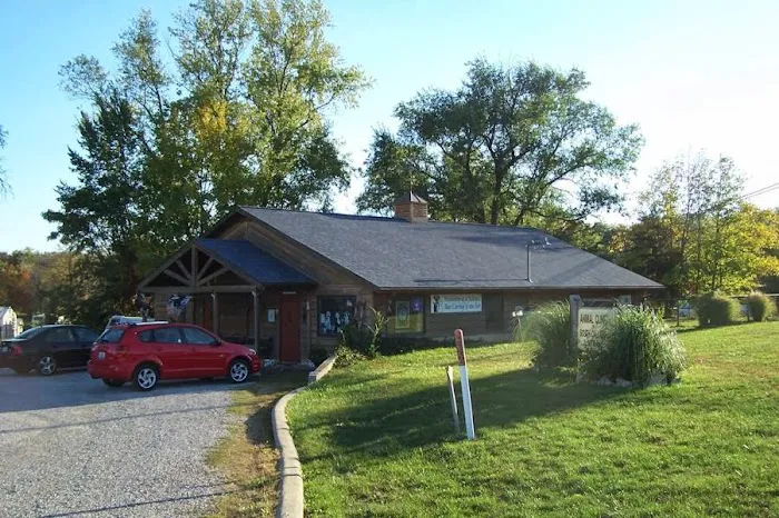 All Paws Medical & Behavioral Center Picture 2