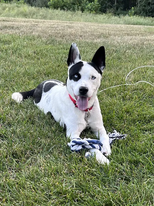 Trailside Animal Hospital Picture 1