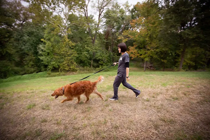 Trailside Animal Hospital Picture 2