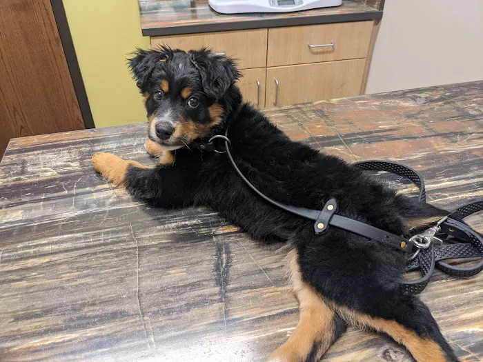 Trailside Animal Hospital Picture 5