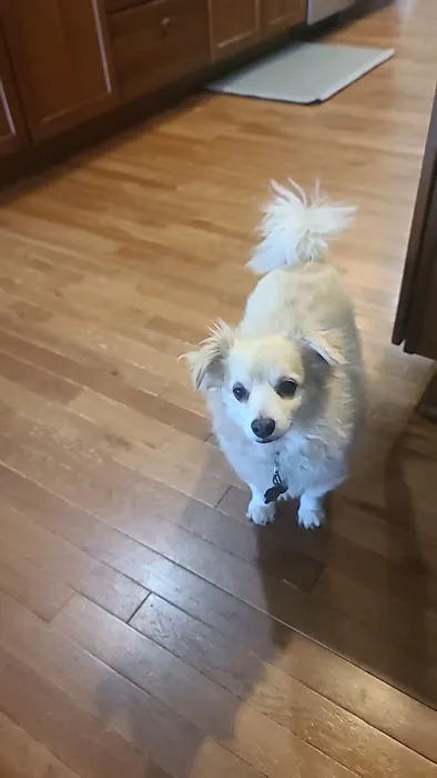 Trailside Animal Hospital Picture 4