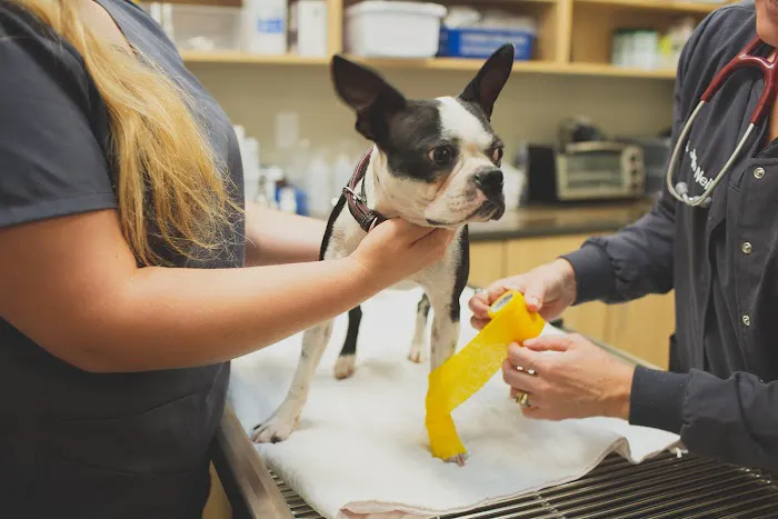 Trailside Animal Hospital Picture 3