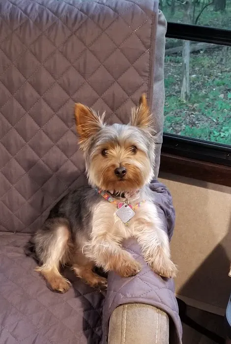 Trailside Animal Hospital Picture 8