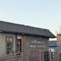 Rock Bridge Animal Hospital: Sappington Susan DVM ico