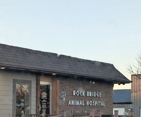 Rock Bridge Animal Hospital: Sappington Susan DVM