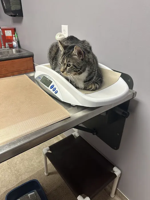 Rock Bridge Animal Hospital Picture 1