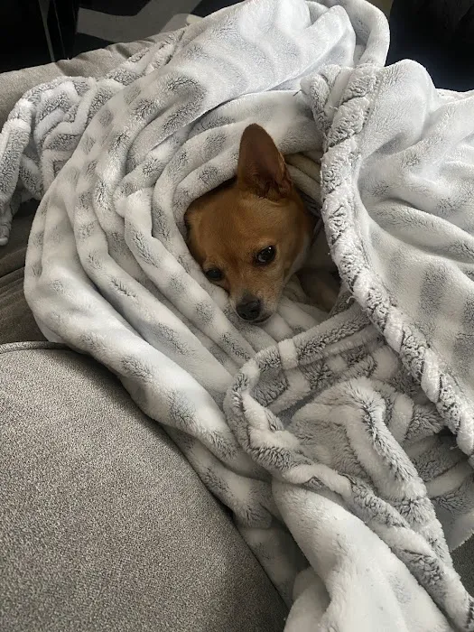 Rock Bridge Animal Hospital Picture 3