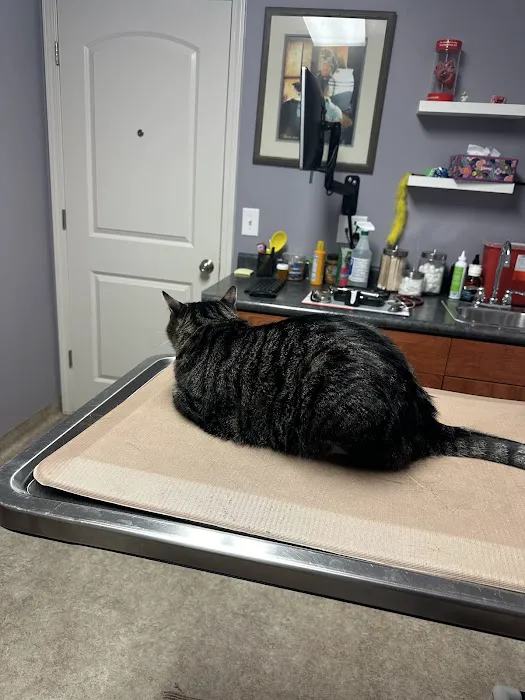 Rock Bridge Animal Hospital Picture 2