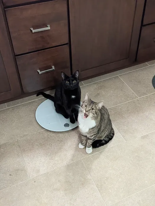 Rock Bridge Animal Hospital Picture 8